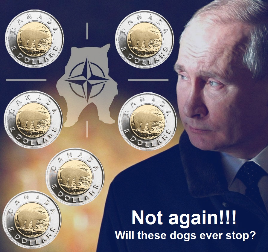 RobertDussaul14's tweet photo. 🕵️‍♂️ CONFIDENTIAL - Project Q 🕵️‍♂️

This Toonie Tuesday, we’re backing the Special Purpose Sniper Unit of the 12th Special Forces Brigade “Azov” a unit that works in the hardest terrain, under the heaviest pressure, and in the moments where precision decides everything https://t.co/WUvxt7kxnX