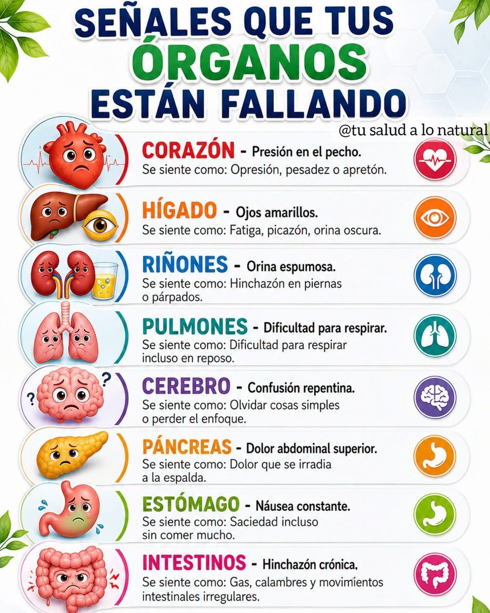 MartaCecilia36's tweet photo. Señales que tus órganos están fallando... https://t.co/NALL08o9Fm