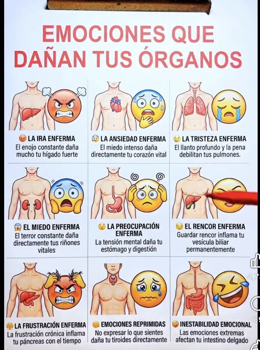 MartaCecilia36's tweet photo. Emociones que dañan tus órganos https://t.co/0qhYWO6GCS