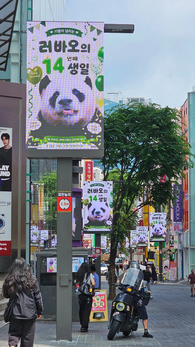 dearlestar's tweet photo. 명동에 잇는 러스타 광고들 💚🫶🏼🫪
#러바오 #lebao
ㅊㅊ 더쿠 ㅂㅇㄱㅈ https://t.co/cv4l2ieGTn
