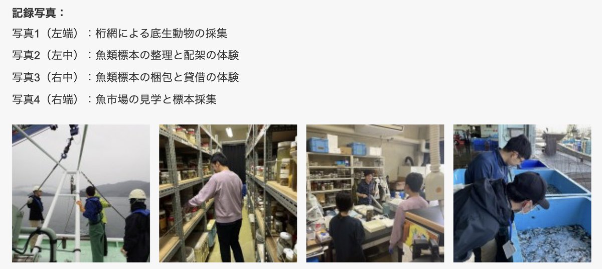 mai_fish_res_st's tweet photo. #公開実習

博物館実習（館園実務）【実習生募集中】
期間：2026年11月1日（日）～5日（木）
締切：2026年9月11日（金）

当実験所に登録・所蔵されている40万点以上の魚類標本をもとに、博物館の理念や設置目的、業務についての理解を深め、資料の取り扱いなどを学びます。
https://t.co/fzBceuyMI5 https://t.co/sOaxkrBE4Q