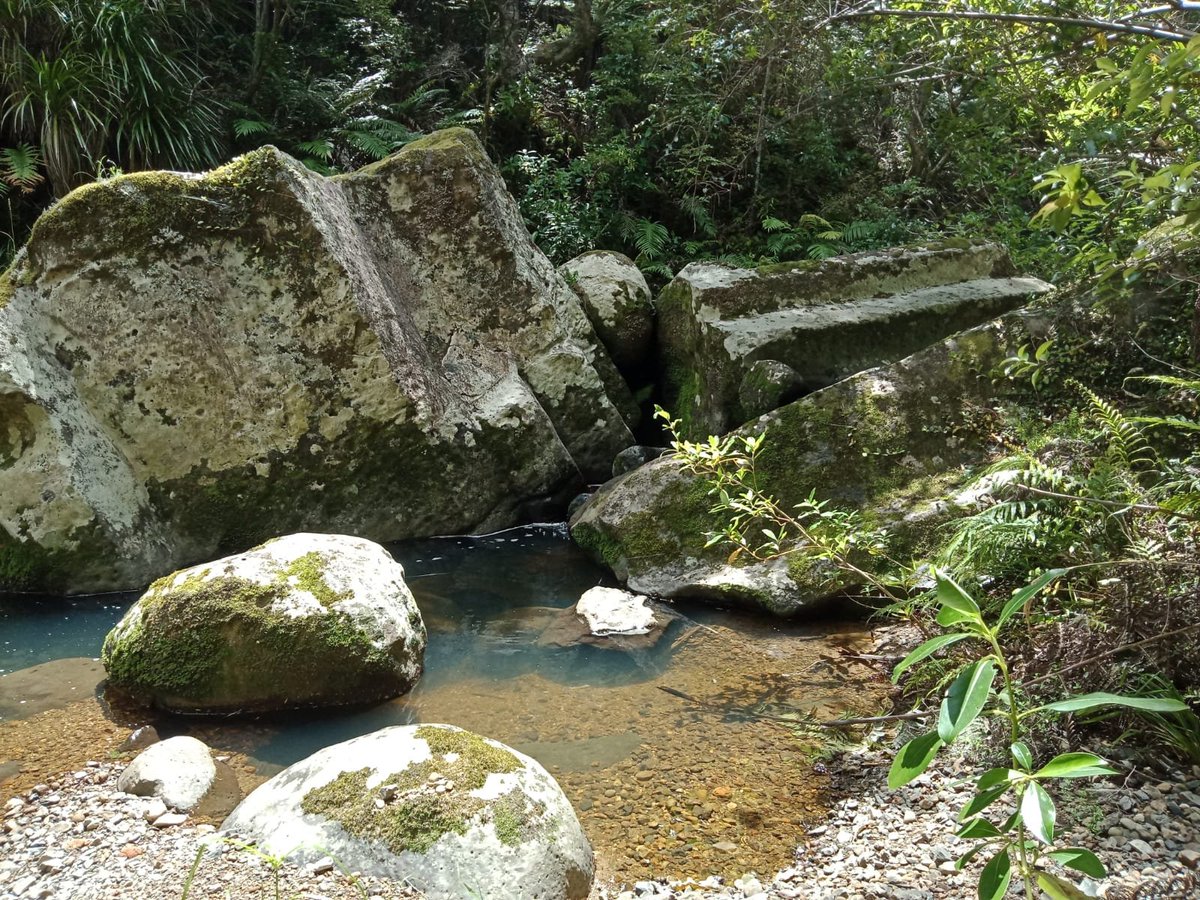 8bitYoshi's tweet photo. Ancient megalovs or random rocks???

My hippie mum Found theses deap in the NZ Far NorthLand virgin Forest (on IwI land your not really ment to be lol)

It's long theorised Maoris we're not the first visitors to New Zealand, weather that's true or not I feel still up for debate. https://t.co/xobepQoqGg