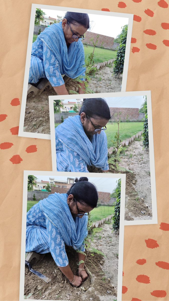 GDuneja's tweet photo. To raising awareness about the importance of conserving the natural resources and to ensure the well-being of our planet there is #WorldNatureConservationDay
Saint Gurmeet Ram Rahim Ji promotes Nature Campaign and many more for this social cause
#WorldNatureConservationDay2026 https://t.co/B7pMQftUma