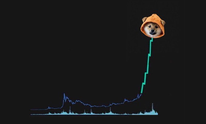 cryptojehova's tweet photo. solana:dog1viwbb2vWDpER5FrJ4YFG6gq6XuyFohUe9TXN65u will run whether you’re in or out…⏳🪄 https://t.co/lz88mrvHqB