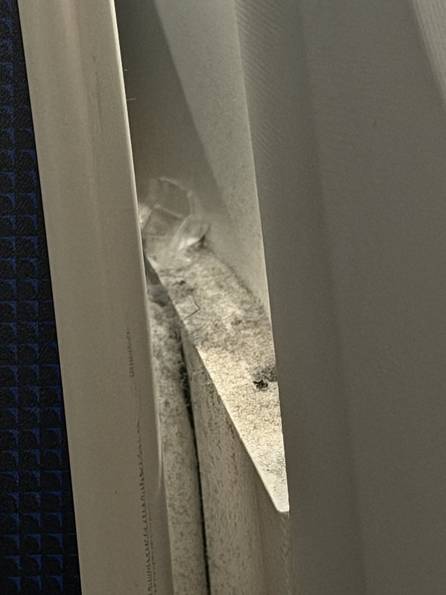 jamesjnr_'s tweet photo. welcome aboard my @united airlines flight today on their #dreamliner in #premiumplus. Completely disgusting and unacceptable 🤢🤮 https://t.co/1Kge8M2Y6o