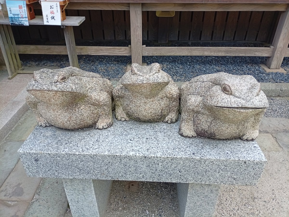 MakotoSunshine's tweet photo. 北海道の旅（11日目最終日大洗市）
フェリーターミナルから2km程度の所で〜行ってみたい神社に立ち寄ったよ☺️
①大洗磯前神社
ロケーション最高ですね🤩
②同　随神門
備前焼の狛犬や彫刻🤩
③同　拝殿🤩
本殿・拝殿・随神門は徳川光圀公の命で造営、竣工
④同　境内のかえる
"無事かえる"と心に誓う🙏 https://t.co/B5QMSsHOcS