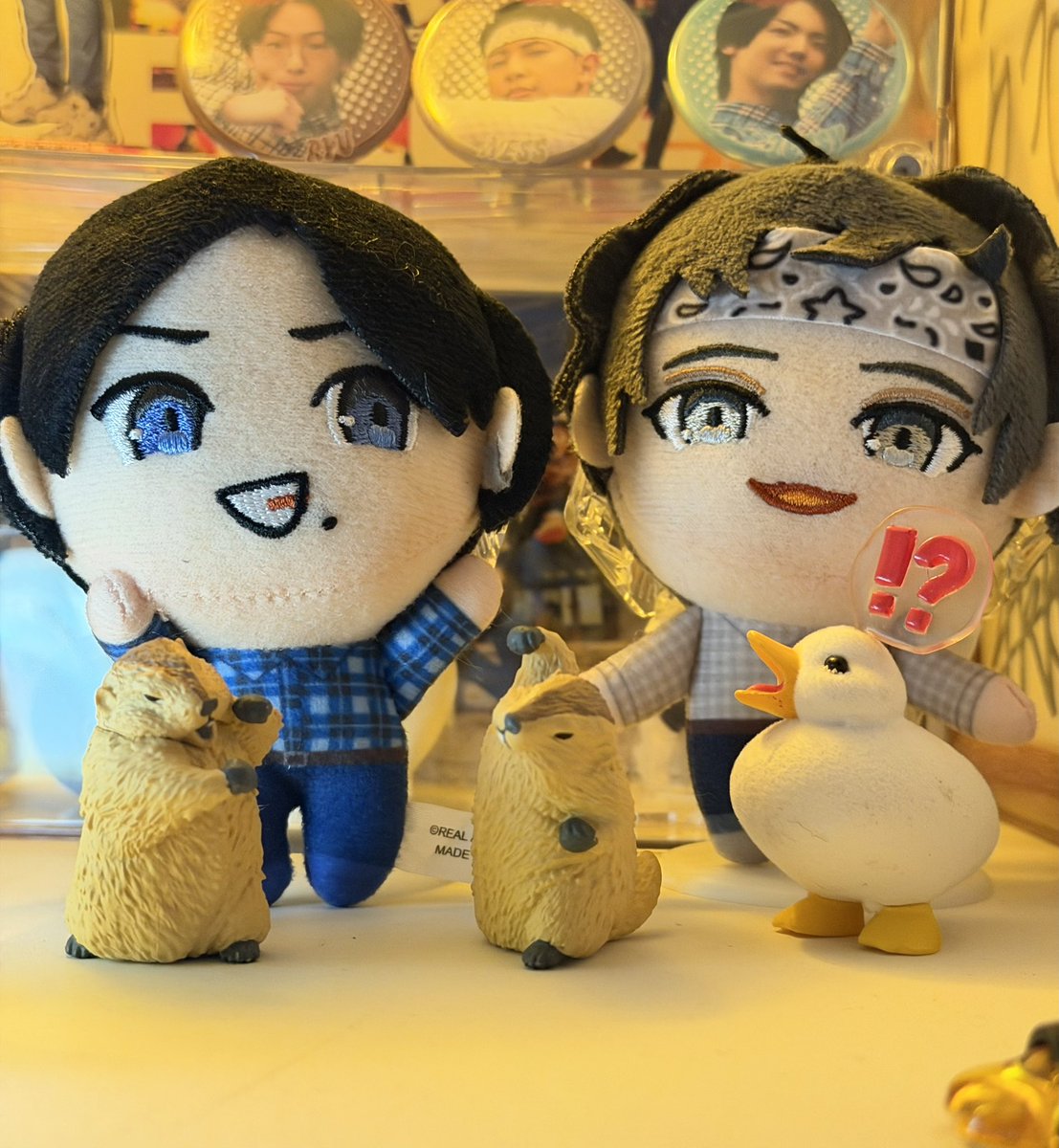 aDac4minmin's tweet photo. 前に思わず🐬くん思い出してマーモットのガチャガチャしたけど、やわギャンでマーモットカフェ行っててにっこり😄 https://t.co/pF8SWrrPFO