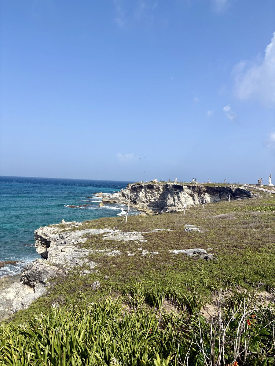 danhyun0's tweet photo. Tropical baby https://t.co/InqydAAFUO