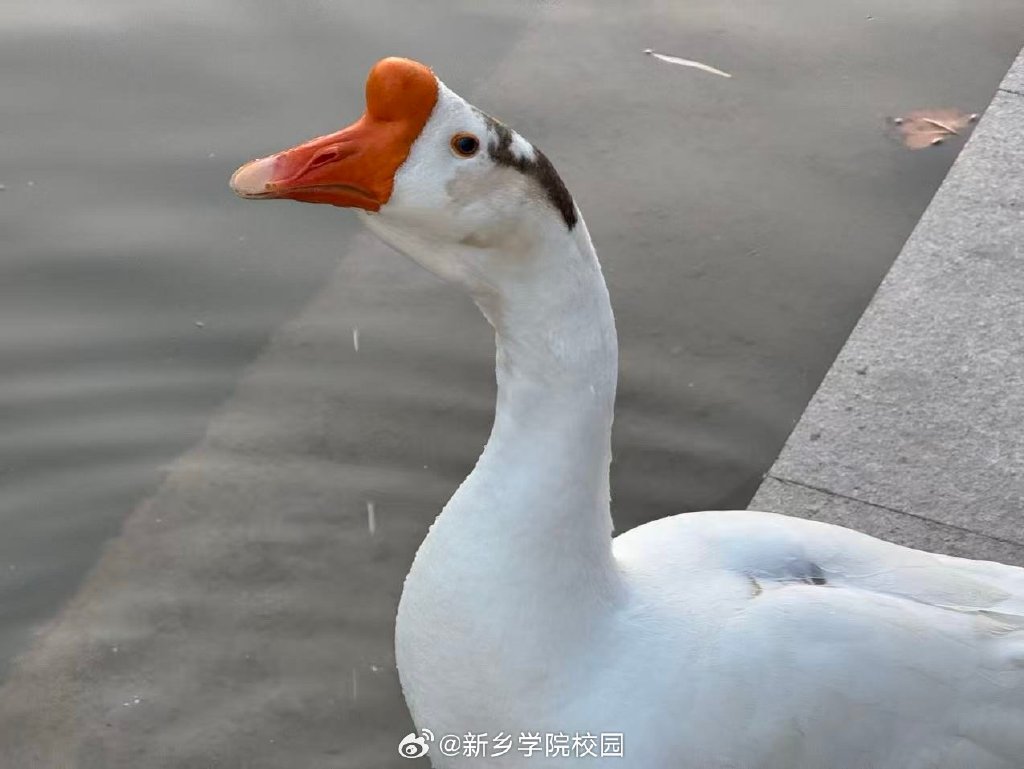 threehwa's tweet photo. 慢慢才懂，成长不是变成无所不能的大人，而是接受自己偶尔的笨拙与柔软，依旧敢向光走。 https://t.co/QASxEbNq88