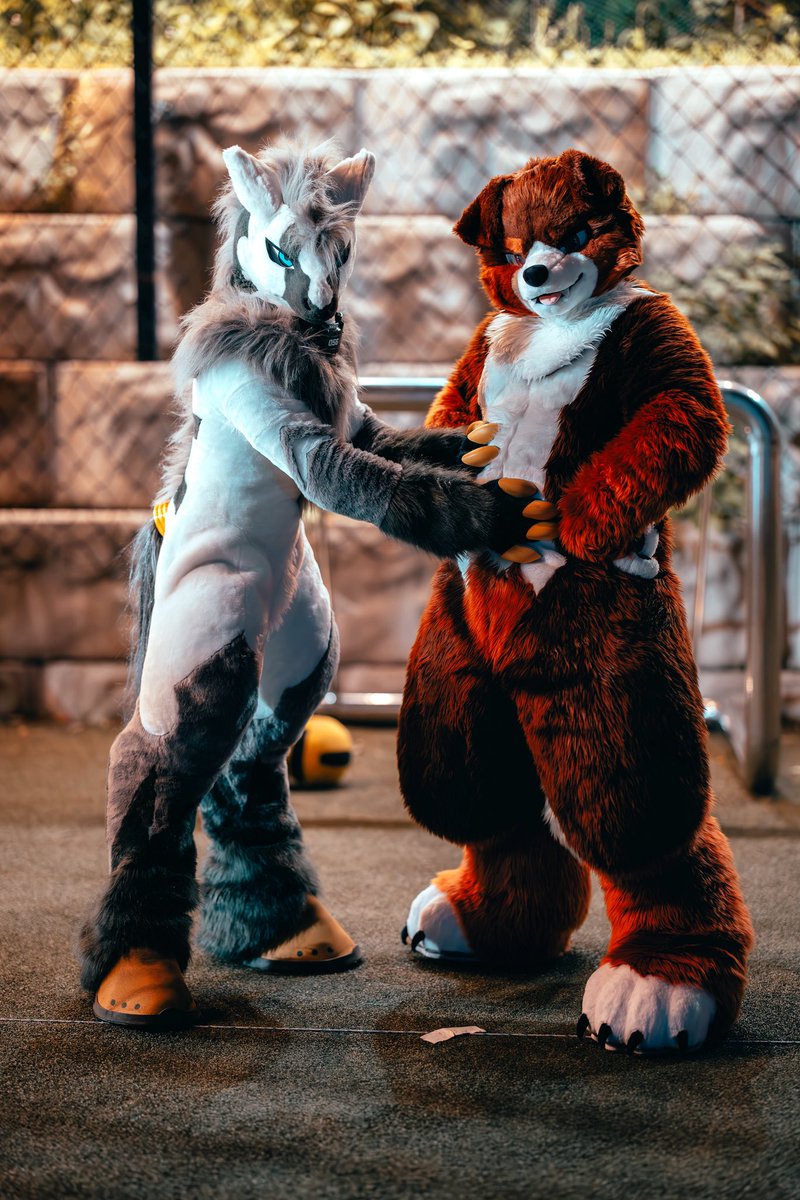 lowdelight's tweet photo. 大きい 🫪

#FursuitEveryday 
📸@Seasalt_VC 
🤍@CooroWolf https://t.co/6C2gioB374