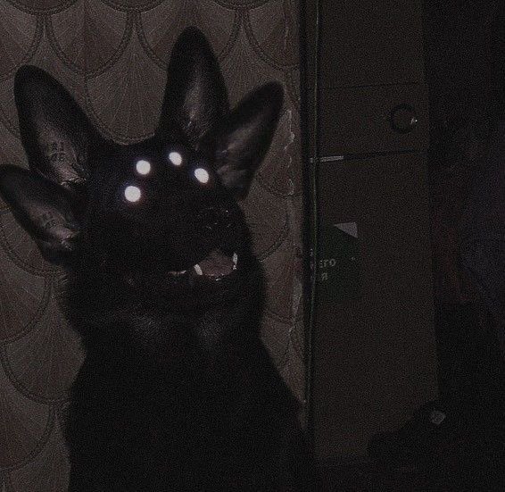deathd3vil's tweet photo. ^•+=🦴!’^•= ^•+=🦴!’^•=

🥩₊˚⊹ 𐂯 Name: Des/ Devil/ Desire
୧ ‧₊˚ 🩸🦴 ⋅ Age: 26
🥩₊˚⊹ 𐂯 Pronouns: she/he/they/it
୧ ‧₊˚ 🩸🦴 ⋅ Sexuality: pansexual
🥩₊˚⊹ 𐂯 Relationship Status: Taken (open)
 ୧ ‧₊˚ 🩸🦴 ⋅ DMs open!

 ^•+=🦴!’^•= ^•+=🦴!’^•= https://t.co/X6SXjhiwSc