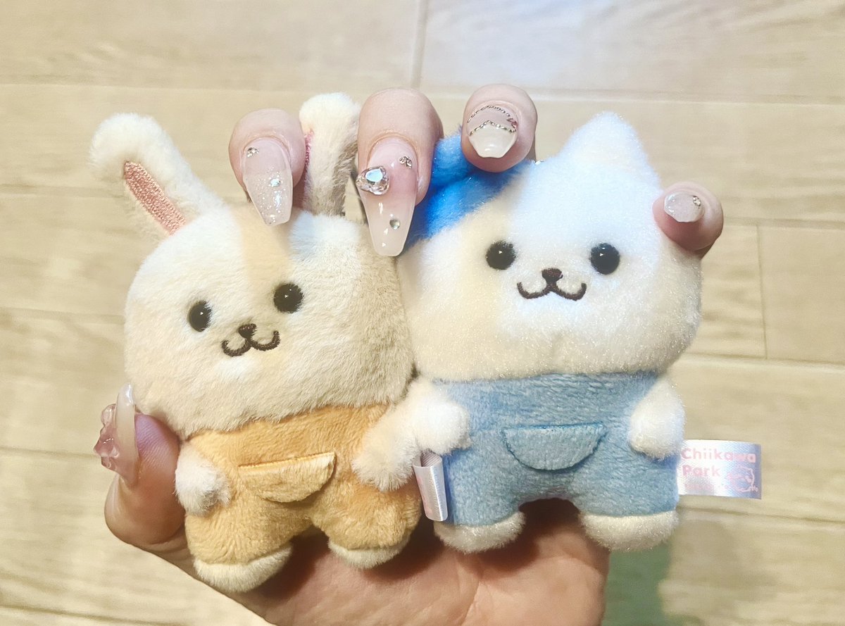 u__s_t's tweet photo. なんとかバニア可愛すぎる🥹 https://t.co/XyAF2nMLP0