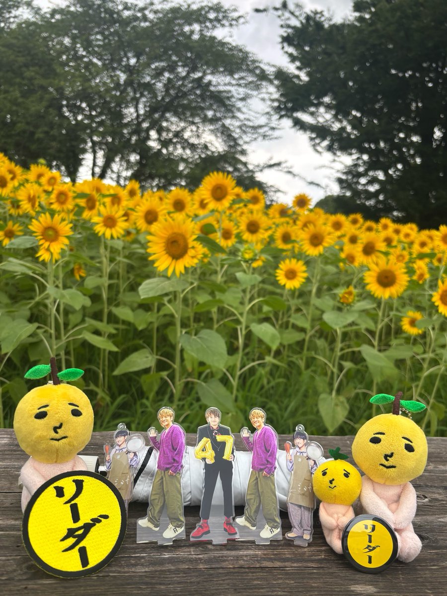 hono_chil's tweet photo. からっぽの木&amp;岡村町散策
楽しかったー！！😻
岡村町でいきなり声かけたのに、半日一緒に遊んでもらって大大大感謝です。。。
ゆずが繋げてくれたご縁☺️🌻
悠仁の話いっぱいできて幸せ時間でしたーー♡♡ https://t.co/RpCdi1oTFN