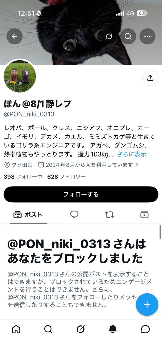 ごん🍋 tweet media
