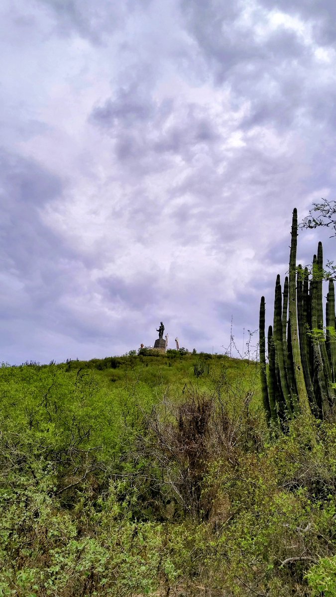 Bulvin's tweet photo. ✨ Desde lo alto del Cerro de la Memoria, la Virgen María Reina del Valle resguarda a Los Mochis y al Valle del Fuerte como un símbolo de fe, esperanza y protección desde 1995. 🙏⛰️

📍Los Mochis, Sinaloa

#LosMochis #CerroDeLaMemoria #VirgenReinaDelValle #Sinaloa #México https://t.co/SVkpOKuMXA