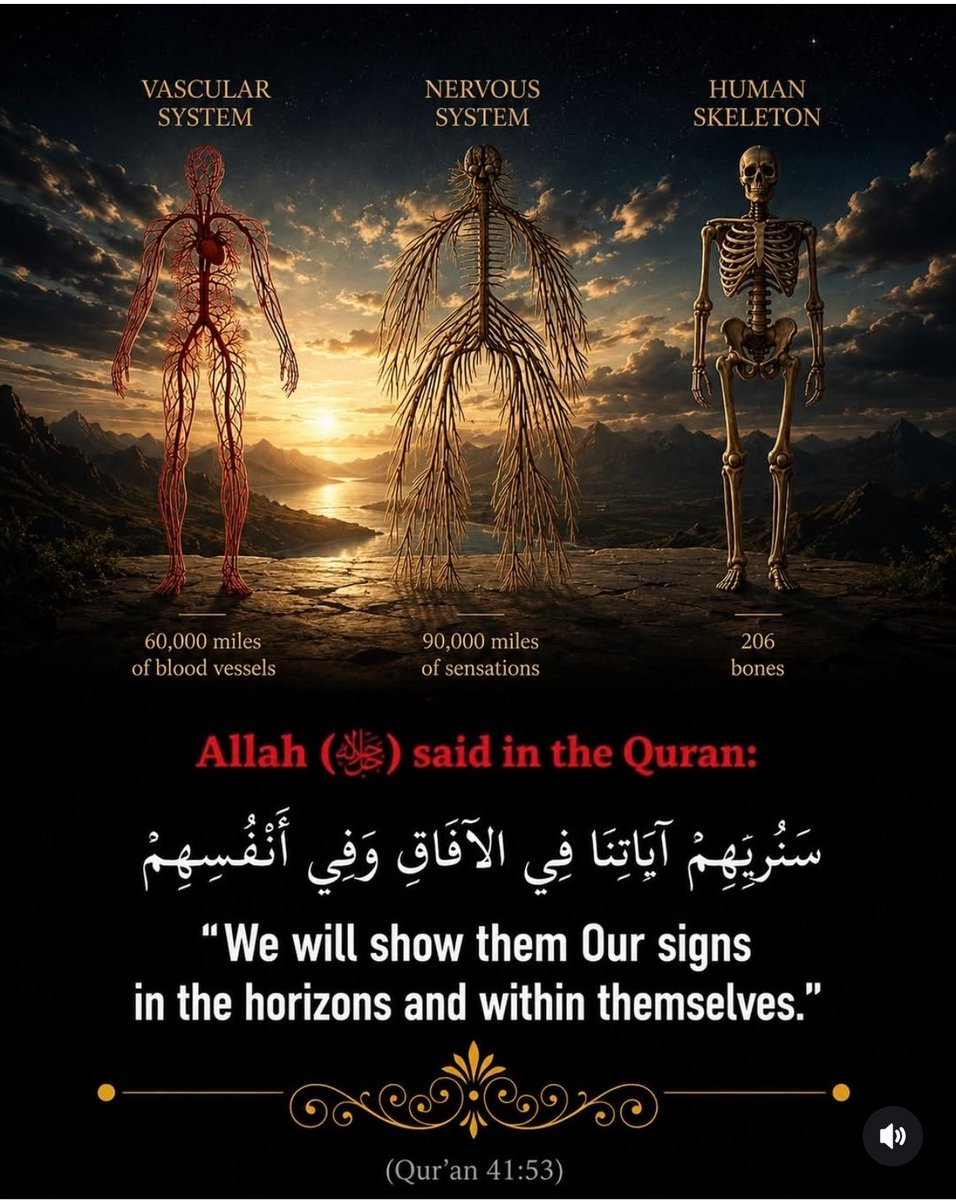 Hajjo15Umar's tweet photo. Subhan Allah.... https://t.co/SiA7cyseyl