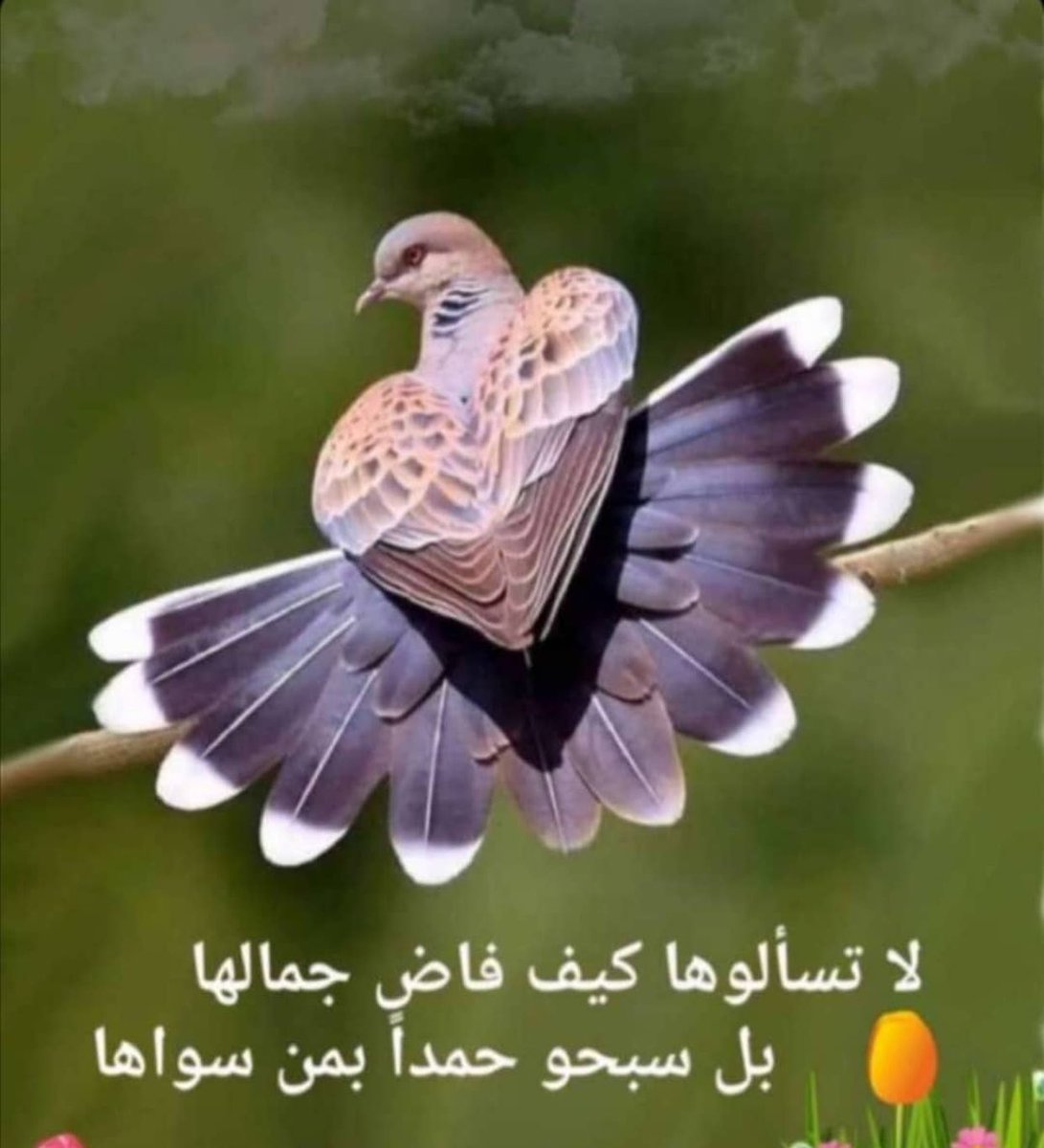 don33326's tweet photo. @lQ8Q8 https://t.co/2a4jN3QE9M