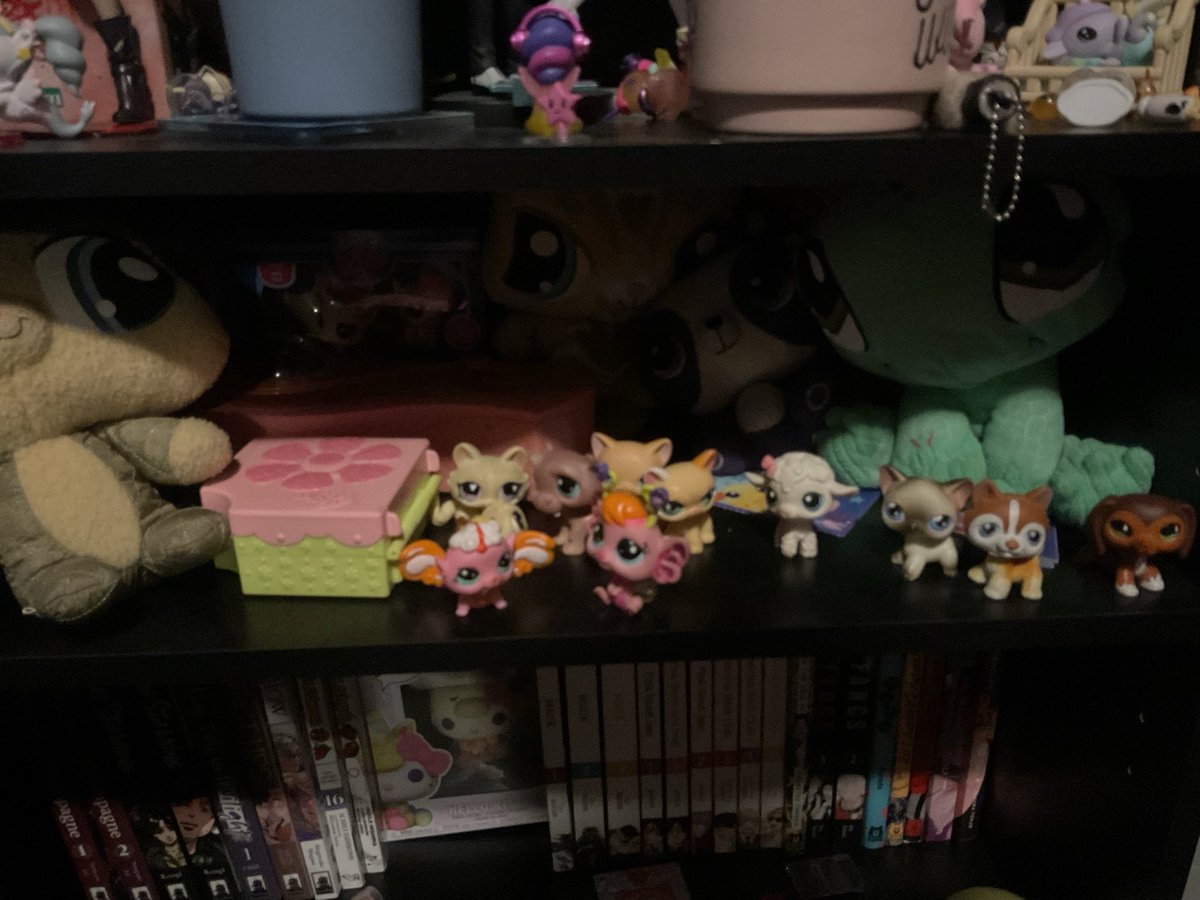 Nick121179's tweet photo. My taxidermy shelf feels so out of place in my room 😭 https://t.co/MfnqDta0pD