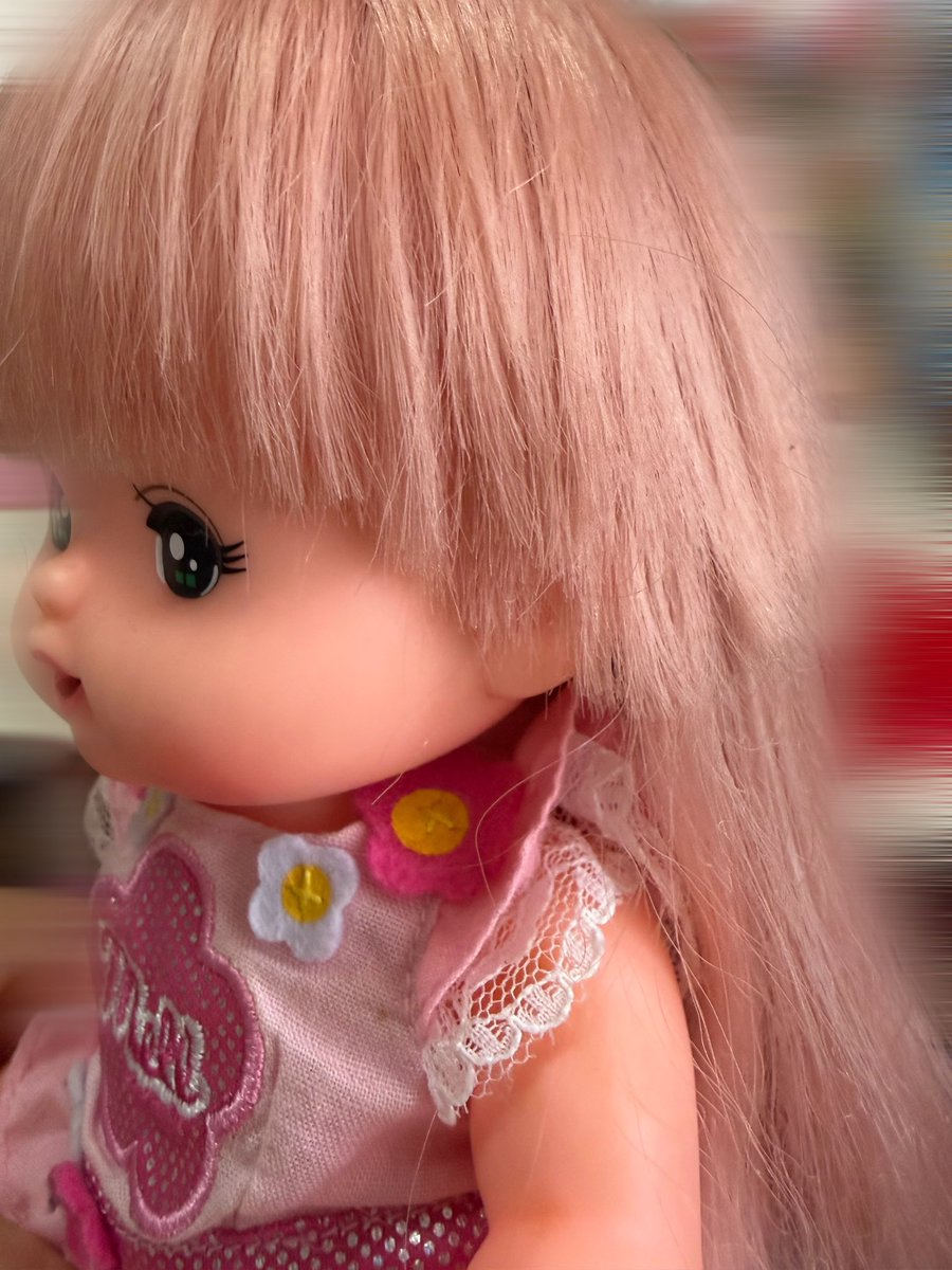 mi8422's tweet photo. メルちゃんってロングウルフやったんやなって https://t.co/GpPbh12e5M