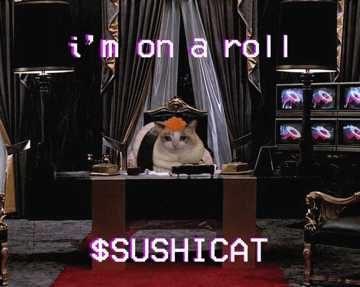 sushicatRH's tweet photo. meow https://t.co/ru8SyWN6XY