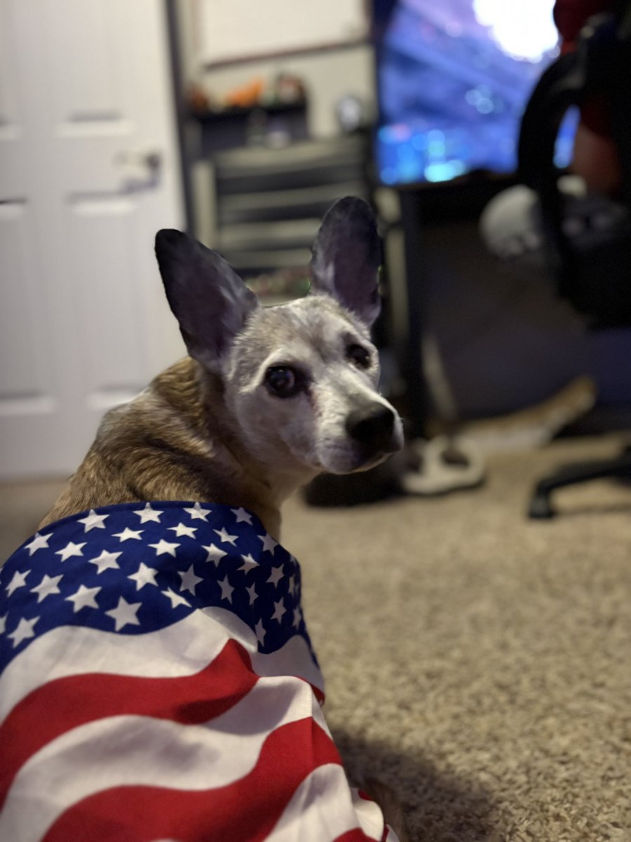 machinegunbexX's tweet photo. This little guy crossed the rainbow bridge today.. the times of my life were the ones with you. ❤️ I know we’ll be bestest of friends forever even without you here. Thank you for an amazing 14 years Mr Jakey Roo Roo 💔🫶 https://t.co/WzirTvziCB