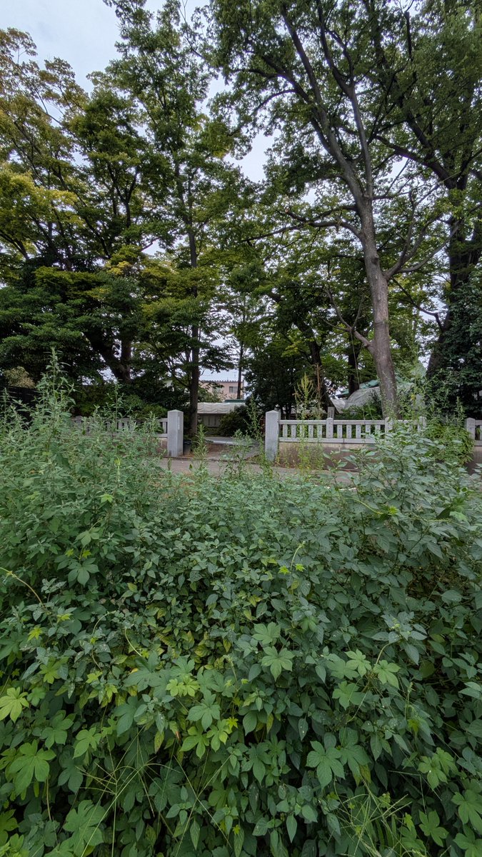 KELUN_2013's tweet photo. 金沢と富山の土地確認。
どちらもうまくいきますように🏠 https://t.co/ONxPM97g4B