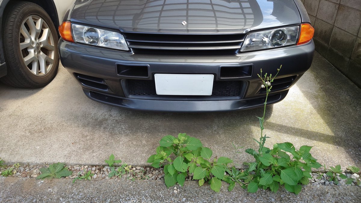 ryoryoryocchi's tweet photo. スゴイ生命力
雑草魂
#nissan
#skyline
#gtr
#skylinegtr
#r32
#bnr32
#32gtr
#r32gtr
#rb26
#rb26dett
#nismo
#vspec2
#ohlins
#VOLKRACING
#te37
#車好きな人と繋がりたい https://t.co/r1PVPe6M9R