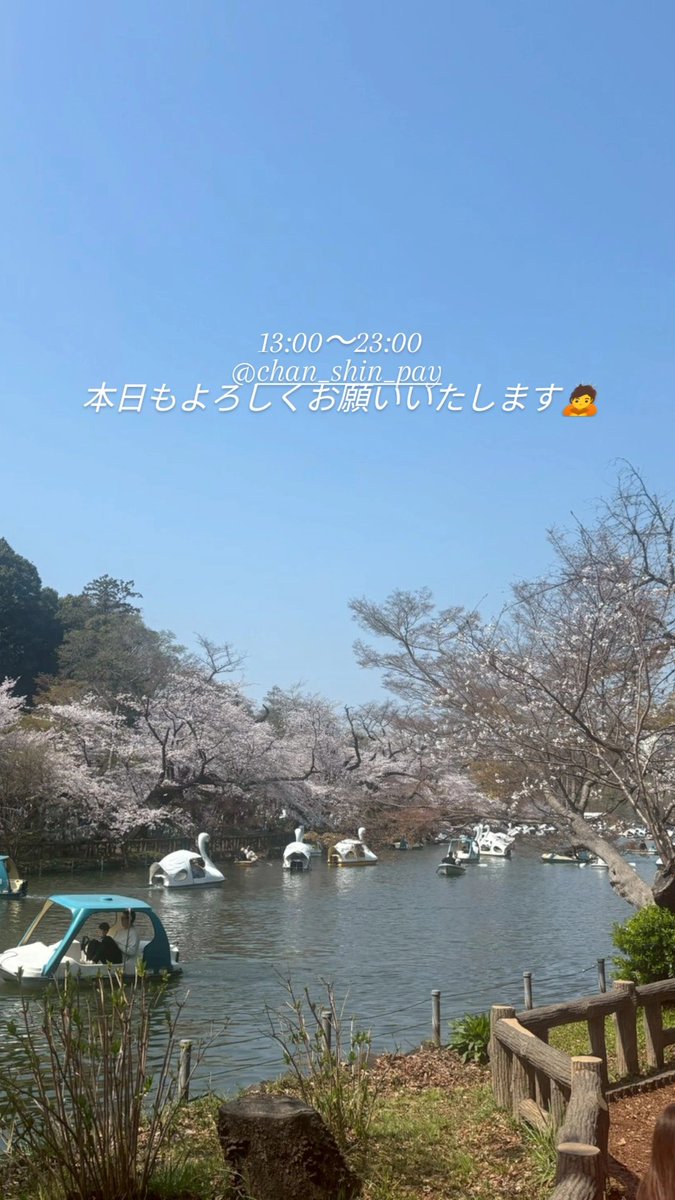 shishapond's tweet photo. https://t.co/47Dadif3T7