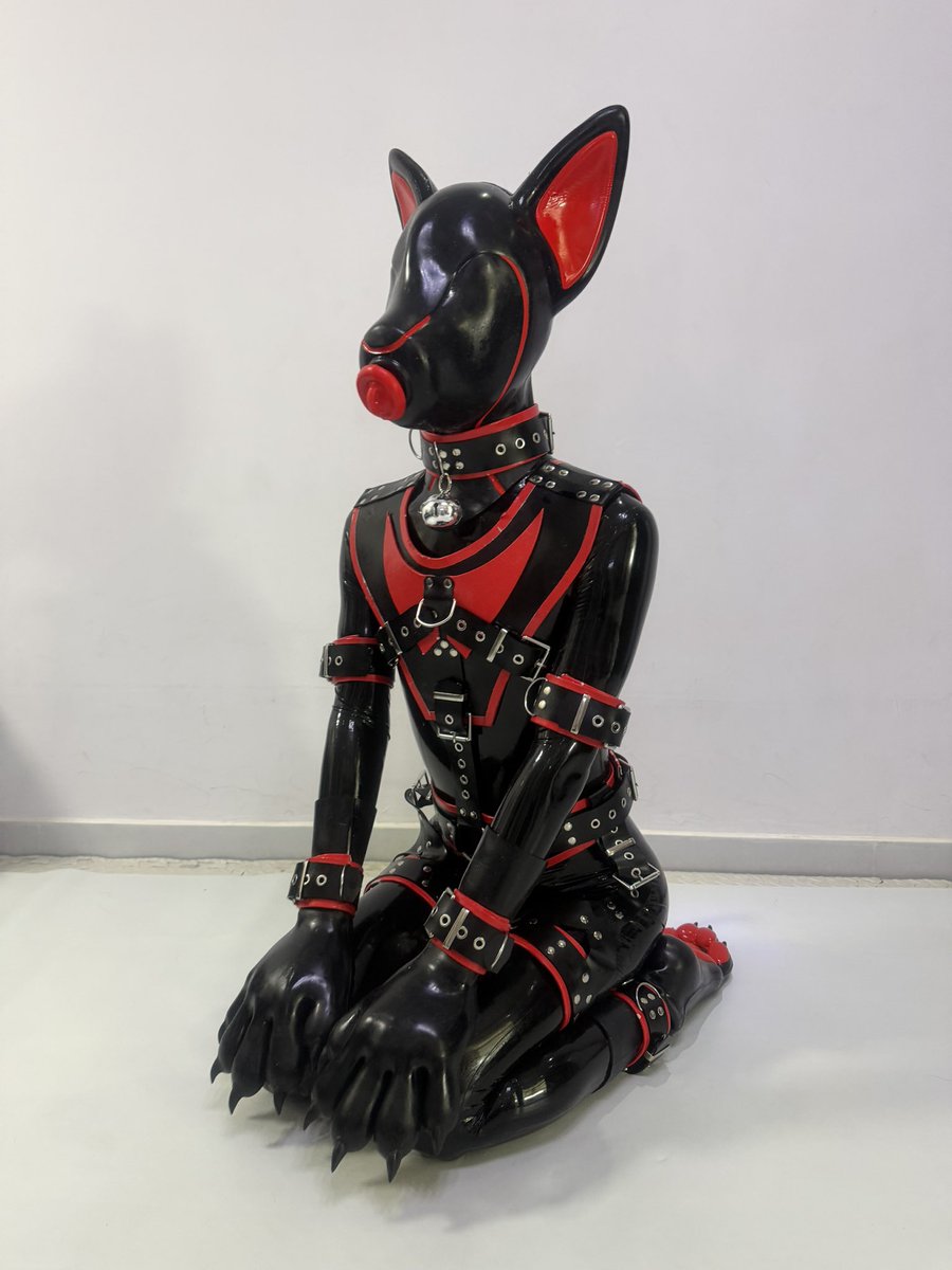 yangling66's tweet photo. 小狐狸调皮就得狠狠放置。
#rubber https://t.co/oXr9315ZeU