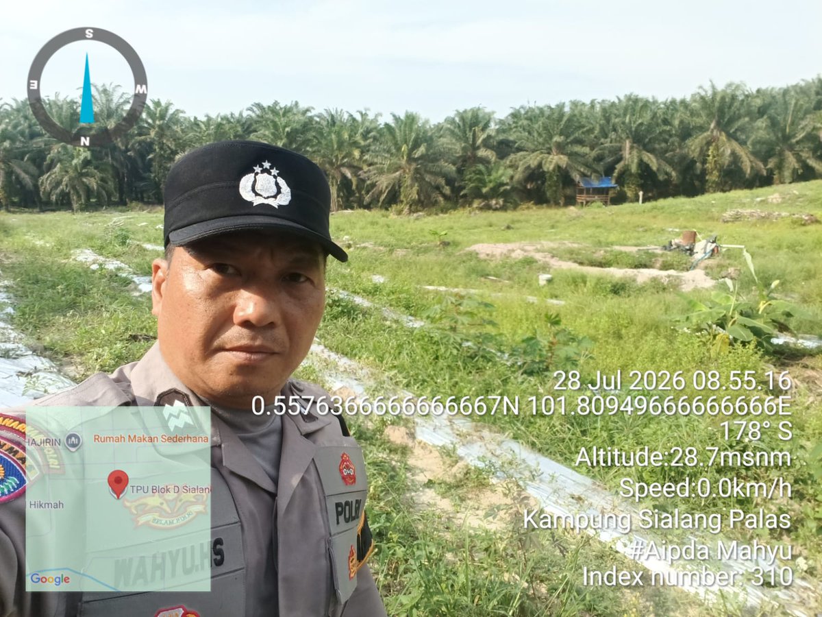 standbay21's tweet photo. Bhabinkamtibmas Kampung Sialang Palas AIPTU Mahyu Polsek Lubuk Dalam Polres Siak Polda Riau
Melaksanakan kegiatan pengecekan tanaman Jagung Pipil untuk mendukung ketahanan Pangan.

#ketahananpangan  #swasembadapangannasional #bidhumaspoldariau #greenpolicing #humaspolressiak https://t.co/nAYzKJY049