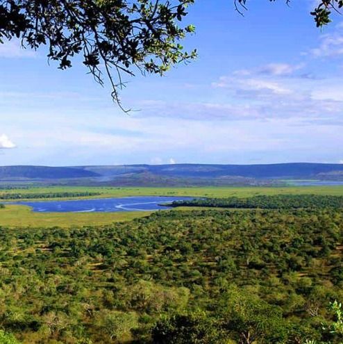 lakemburo's tweet photo. Climb Kazuma Hill for breathtaking views of all five lakes in Lake Mburo National Park! Don't miss this epic safari experience. Book now at https://t.co/NQv6GsU3Hl  #lakemburonationalpark
#lakemburonationalparkuganda
#lakemburopark https://t.co/WKHg8BDvXx