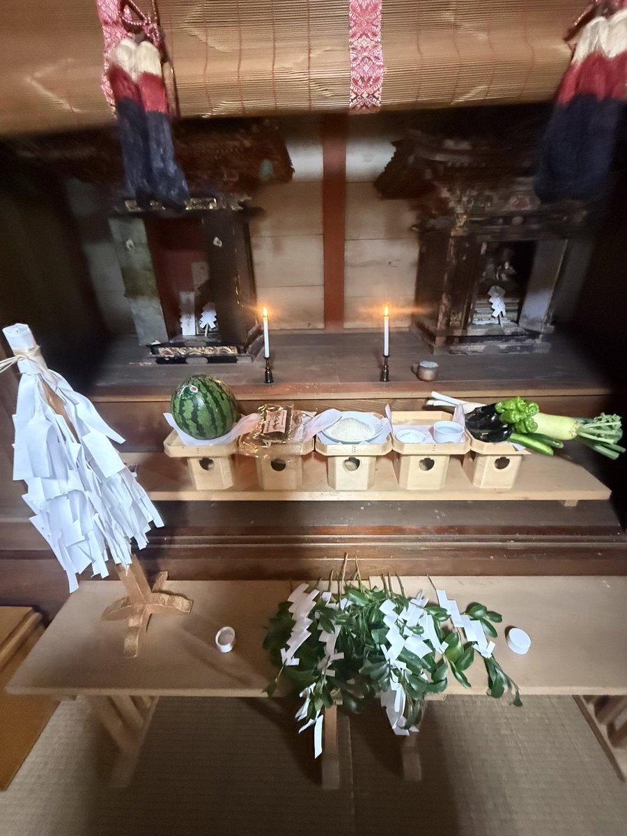 Kei's Bromeliads & 柏諏訪神社 tweet media