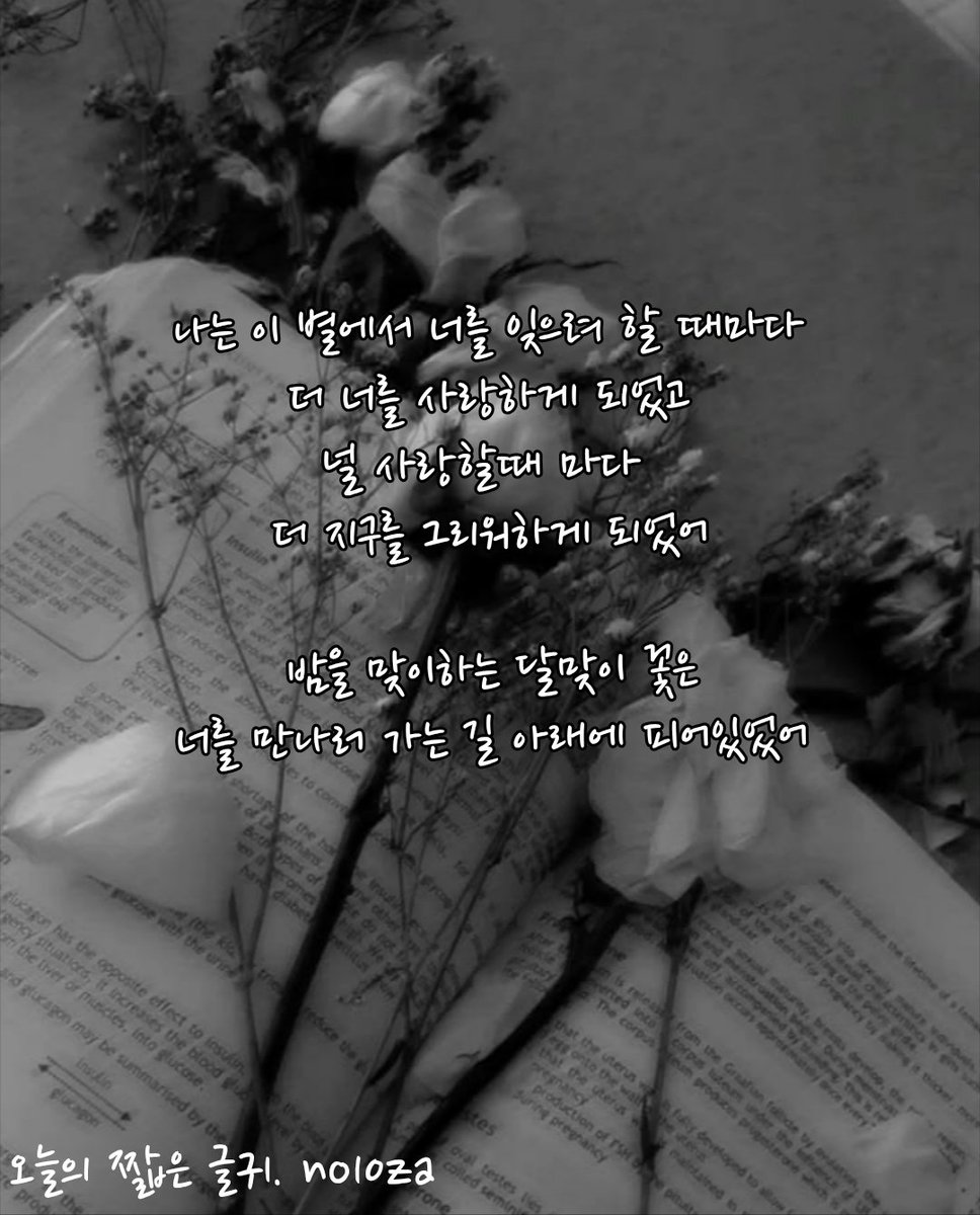 no10za's tweet photo. #감성 #글 #글귀 https://t.co/DpWmWxwsBZ