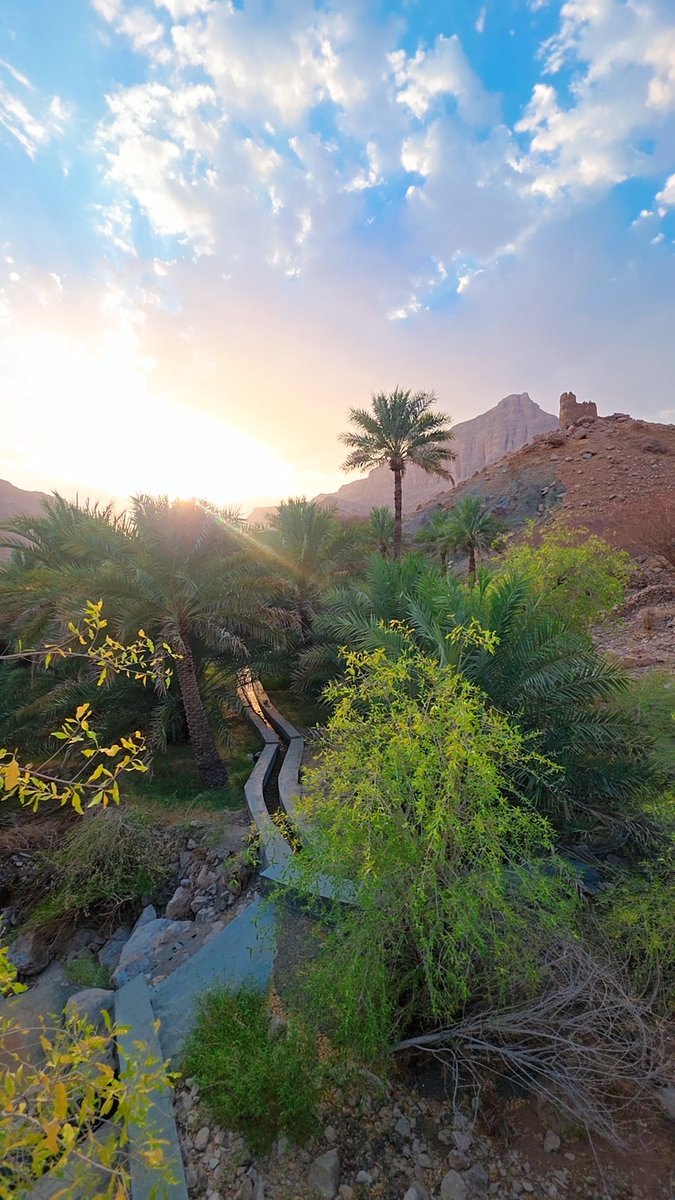 ALMANAI777's tweet photo. ،،
قل : الحمدُ لله دائمًا،
فمهما امتلأت أيامُك بالخيبات،
فلا نعمةَ تُضاهي العافية،
ولا شيء يَعدِلها🌴

*🌷 صبحكم الله بالخير 🌷* https://t.co/W8cge8XhKX