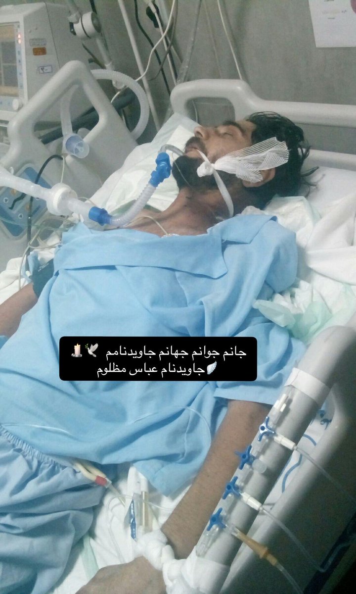 safooramashhadi's tweet photo. جانم جوانم جهانم جاویدنامم  🕊️🕯️🪽جاویدنام عباس مظلوم
در مشهد خیابون طبرسی شمالی https://t.co/8had3dkxZr