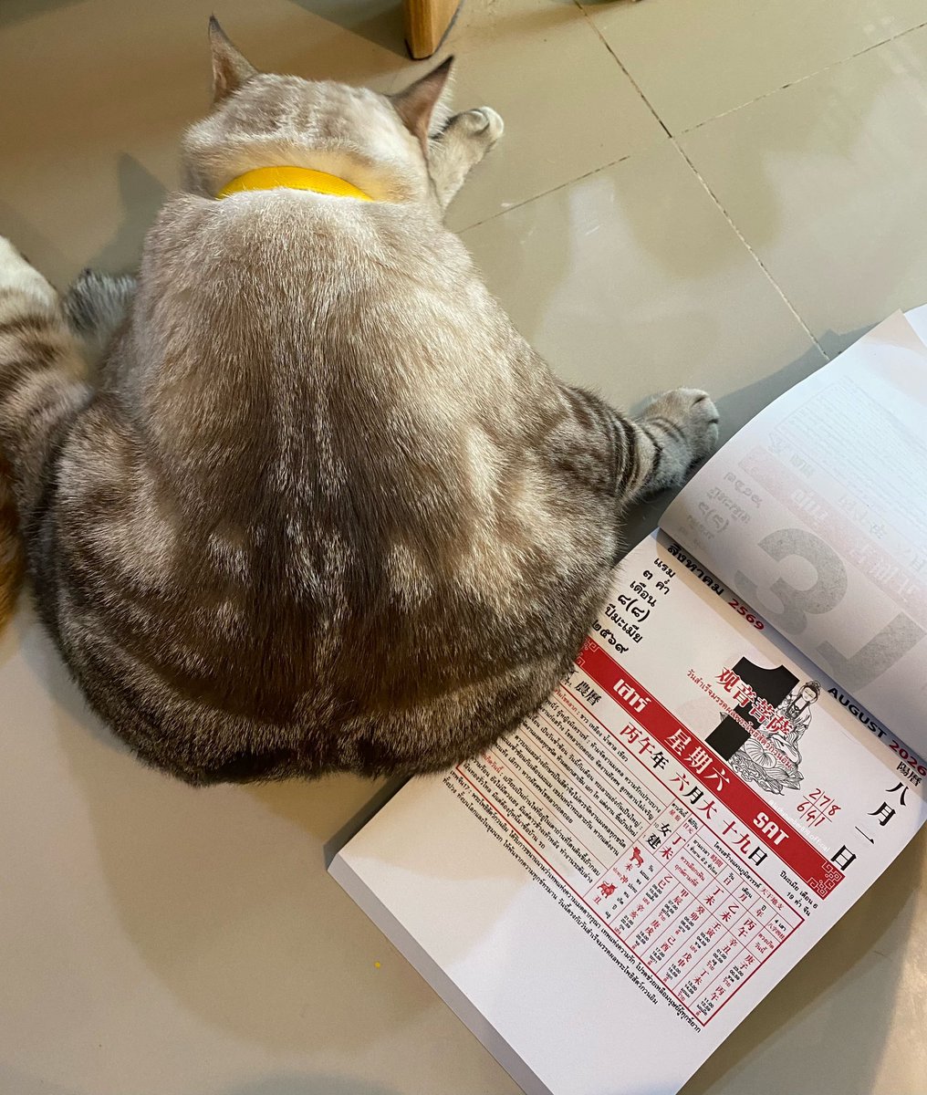 luckynumber_v2's tweet photo. 📌มาแล้ว “ปฏิทิน #หวยไทย” 💰
จับรวม จับมัดตามสบายได้เลย ขอให้มางวดที่ 4

✅ สนใจจองน้อนทัก line@ เท่านั้น ‼️

#เบอร์เงิน #หวยงวดนี้ #หวยรัฐบาลไทย #เลขเด็ดงวดนี้ #แนวทาง https://t.co/JxhVRm70FS