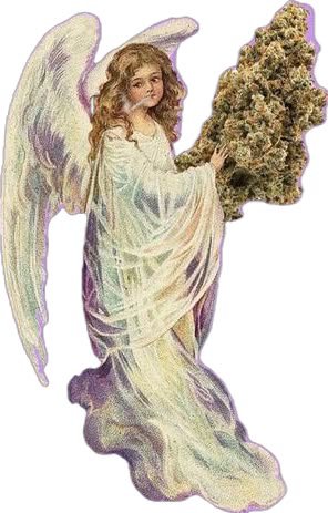 itzdevvgm's tweet photo. mi angel de la guarda https://t.co/kX1XyvtAMQ