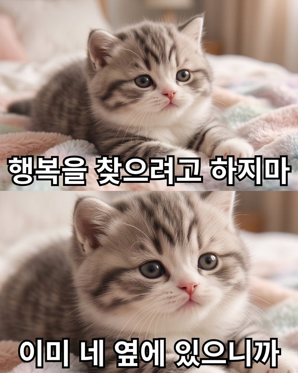 jin15727014's tweet photo. 행복을 찾으려고 하지마 
이미 네 옆에 있으니까 https://t.co/JULlECgQp2
