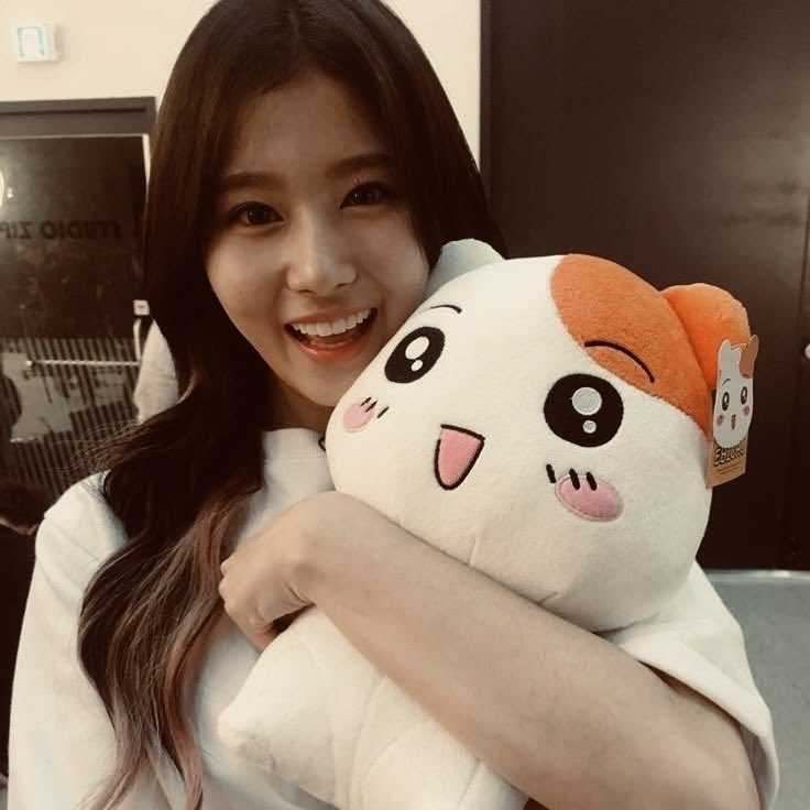 mincaeil's tweet photo. Sana’s hobbies https://t.co/qZNUhPSJuK