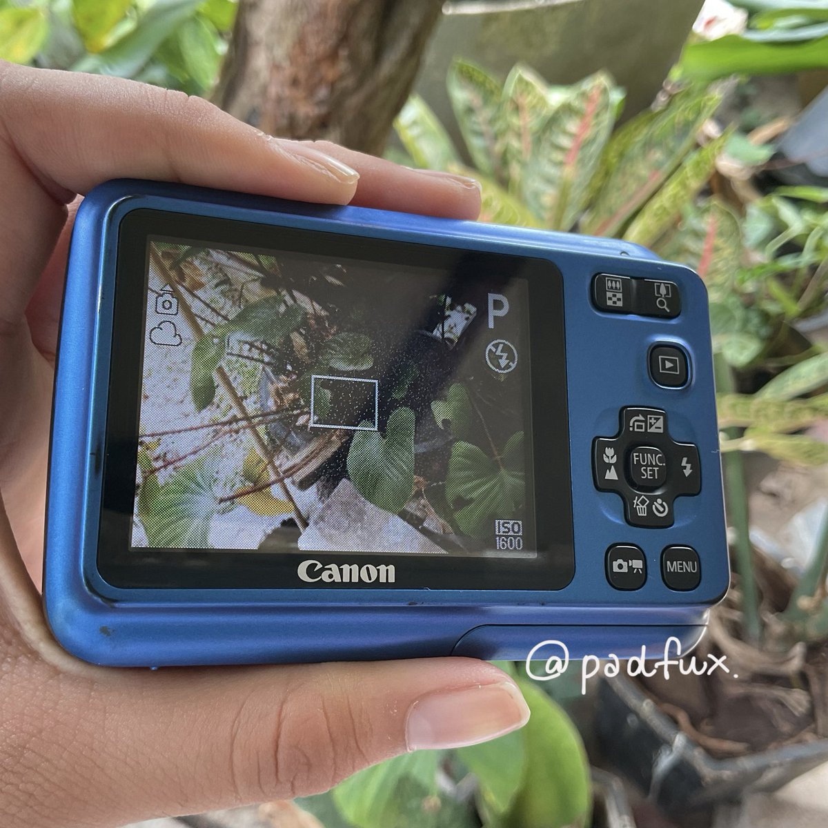 padfux's tweet photo. Canon Powershot A495 สาดแฟรชสวย ภาพสวย กล้องดี กล้องยังใช้งานได้ปกติ กล้องรุ่น k.จูน☘️♥️

ราคา: 3,900 รส. พร้อมโอนลดได้ 

สิ่งที่ได้: กล้อง+ถ่าน+เมม+สายคล้องมือ+ อุปกรณ์อ่านการ์ด

ตำหนิ : จอหย่น แต่ไม่มีผลต่อการใช้งาน 
#กล้องดิจิตอลมือสอง #กล้องดิจิตอล #ส่งต่อกล้อง https://t.co/e2yK5E3ULB