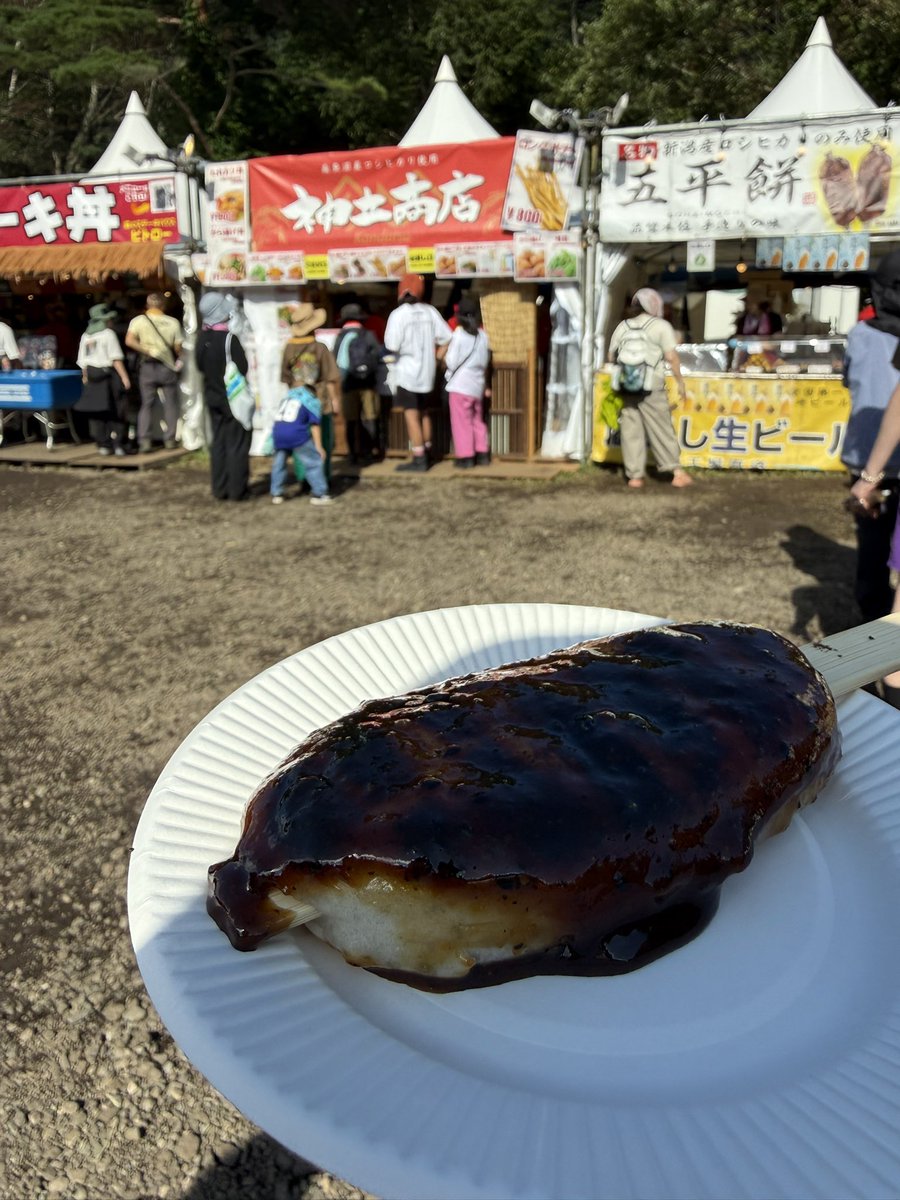 hinase_egg's tweet photo. フジロック2日目行ってきました https://t.co/3jtWLXpIa1