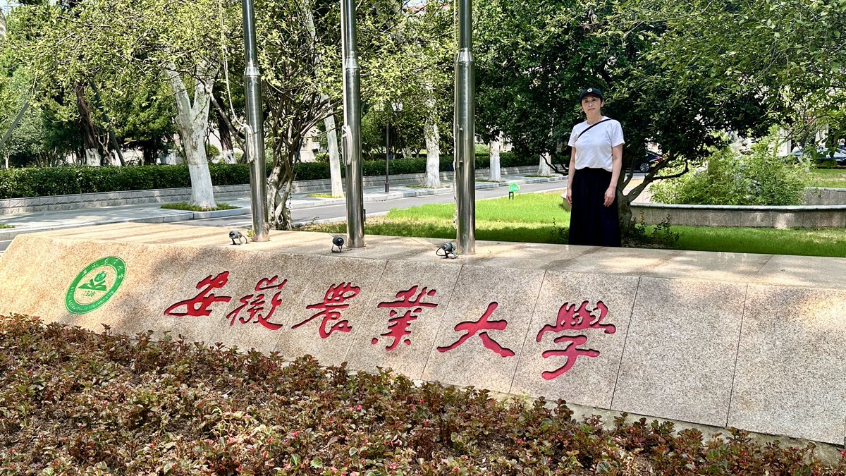 JINPRODUCT's tweet photo. 安徽農業大学の留学を終え帰国しました。

勤学楼
神農像
南門

20250831〜の備忘録を。
#留学 #建築 #安徽農業大学 https://t.co/G8vsjtXM6Q