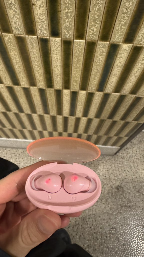 kmgok00000's tweet photo. イヤホン潰れて、急遽ダイソーで買ったんやけど、見た目があれ。 https://t.co/pOfuqZwl3T