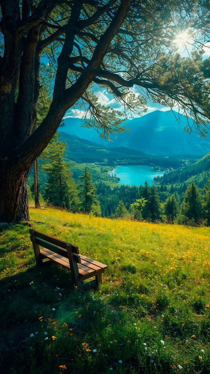 SmileTheni1's tweet photo. Τελικά ..
σπαταλάμε τη ζωή μας
σε λάθος πράγματα 
και χάνουμε τις ομορφιές της ..
Την καλημέρα μου σε όλους🌹 https://t.co/WBpOZooQNE