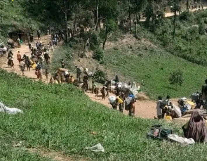 mulikuza_jordan's tweet photo. ‼️🛑‼️🇨🇩 Les #Rwandais du M23/RDF incendient des villages lors de leur fuite à #KIPUPU et dans les environs. Plusieurs #civils_villageois sont en pleurs après la destruction de leur patrimoine, parti en fumée ! 👺🇨🇩
💥 Nous demandons aux autorités #congolaises d'ouvrir une cellule de soutien psychologique aux victimes de ces attaques et de ce sinistrés !
#videoviral #FARDC #Rwanda #Wazalendo #RDC #RDF