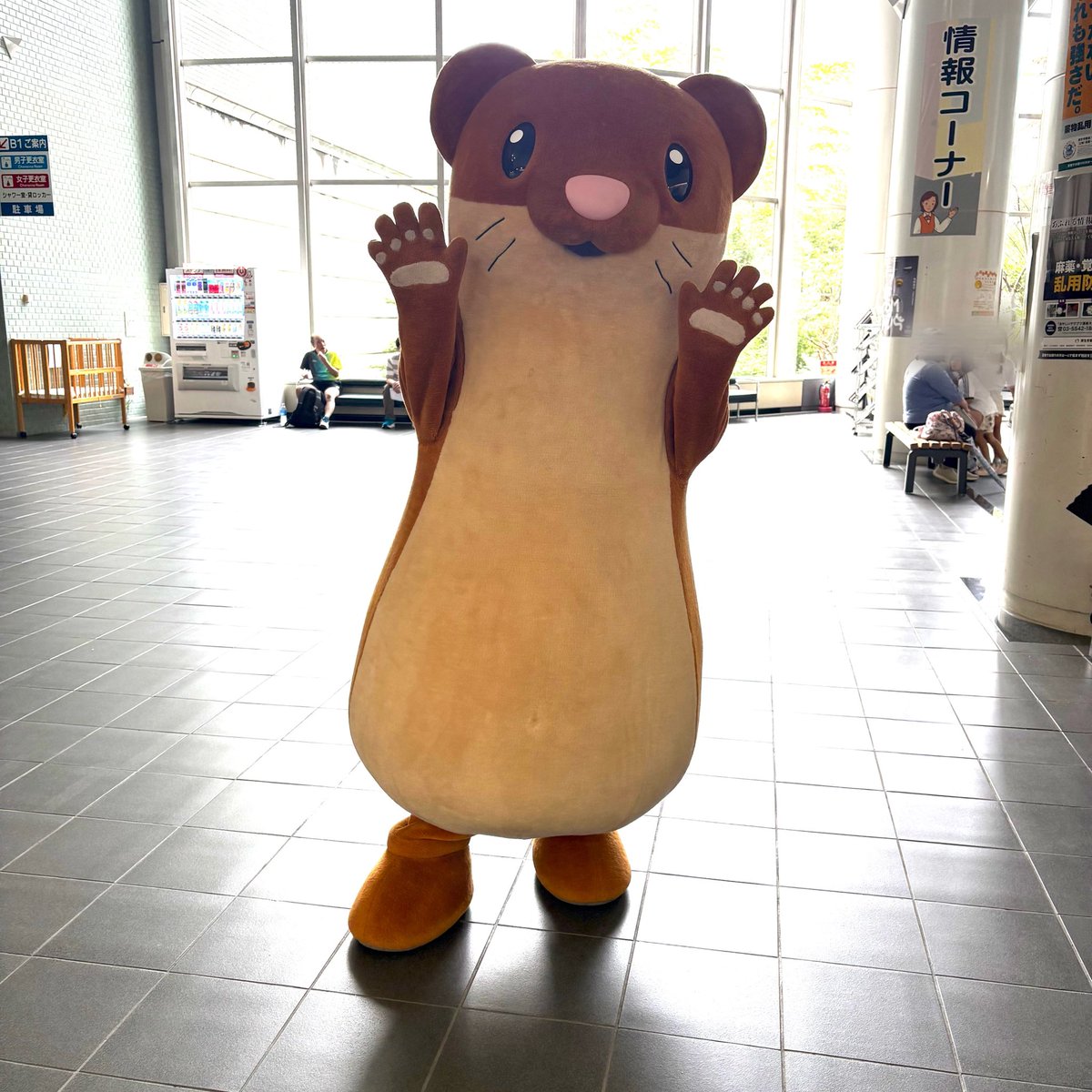 sakephil's tweet photo. 栄フィルサマーコンサートは無事終了いたしました☺️暑い中、大勢のお客様にご来場いただきました。ありがとうございました♪

タッチーくんもお客様をお出迎えしたり、会を盛り上げるお手伝いをしてくれました✨

次回は11/29(日)第九演奏会です！一緒に第九演奏しませんか？弦楽器お待ちしてます！ https://t.co/HVQbjIJBBU