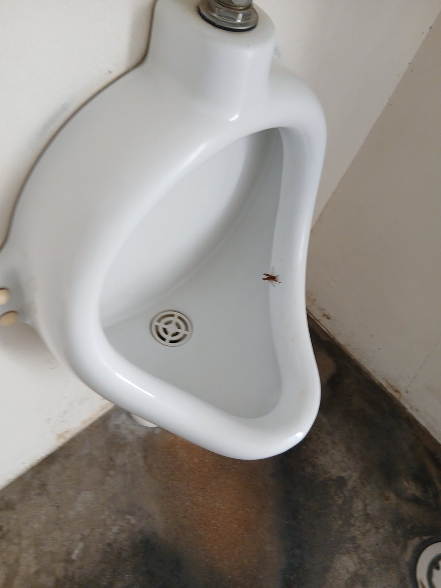 MAK3ITBOUNCE's tweet photo. 職場のトイレのこの状況、嫌すぎる https://t.co/5yhSQAGzwd