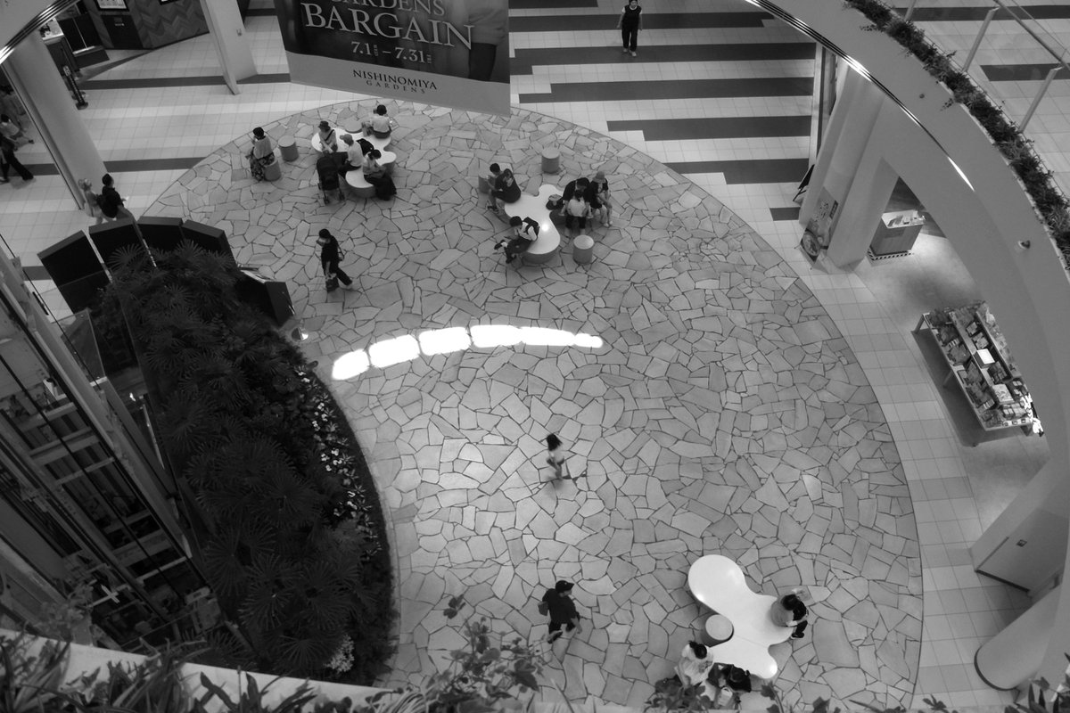 wao_camera's tweet photo. 西宮ガーデンズ
RICOH CX6
#ricoh #オールドコンデジ #cx6
#monochrome https://t.co/OtjJPW18Jk