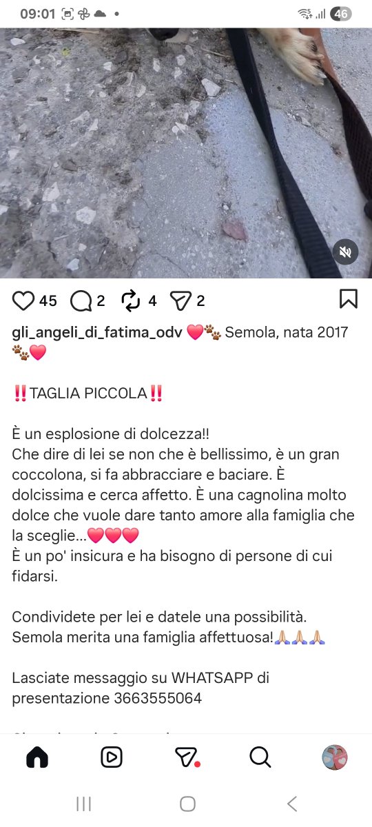 annina_cutillo's tweet photo. https://t.co/IKmlwHORZq