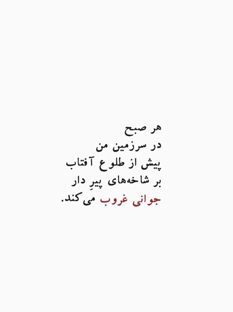 Hananehjafarii's tweet photo. #اصفهان #اذان_صبح https://t.co/Xmk0h0KDd2